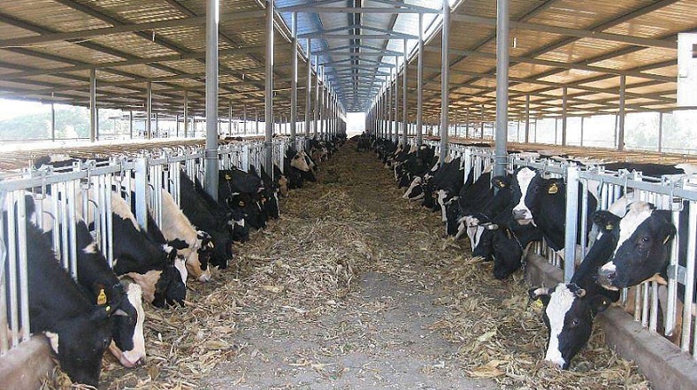 艾思捷定制款PGV035系列減速機(jī)--應(yīng)用在畜牧業(yè)、飼料行業(yè)